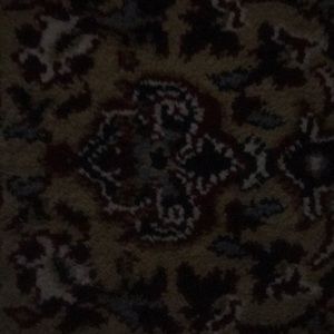 Meet your Posher, Carol